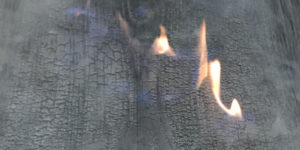 bois brulé atelier Guillaume Talmont